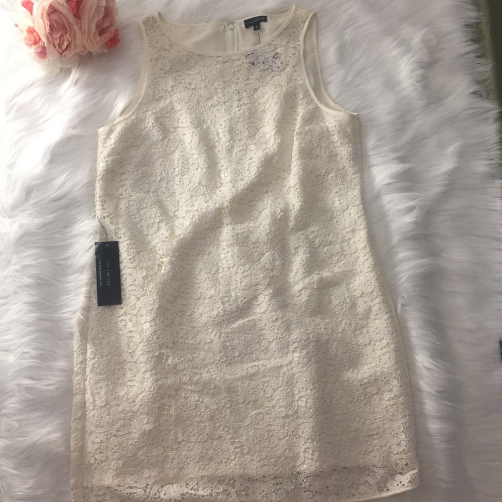 12 - The Limited - Sleeveless Lace Overlay - NWT